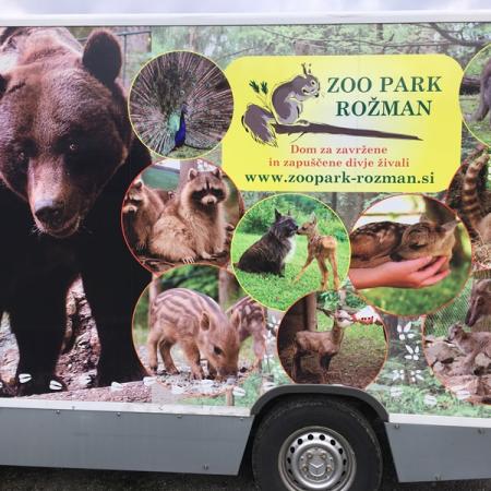 REMEMBER THE WILD ANIMAL SHELTER ROZMAN?