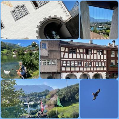 Snakes. Dragons and the Phoenixes -  Switzerland