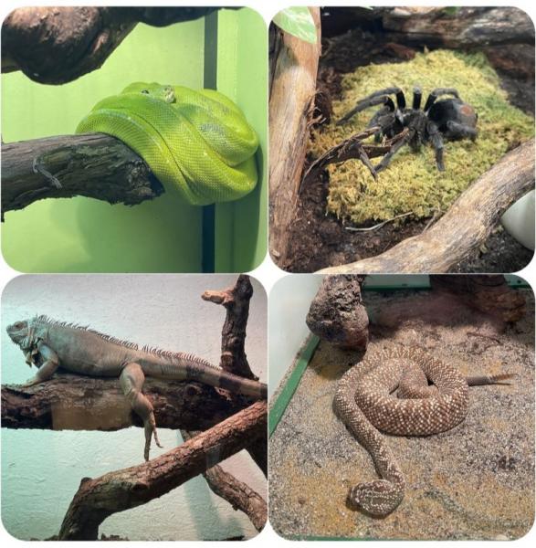 Source; Alion Institute