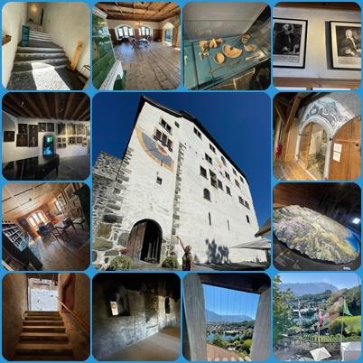 Source; Alion Institute, Werdenberg, Switzerland