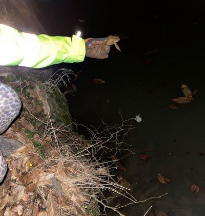 Source: Alion Instutute